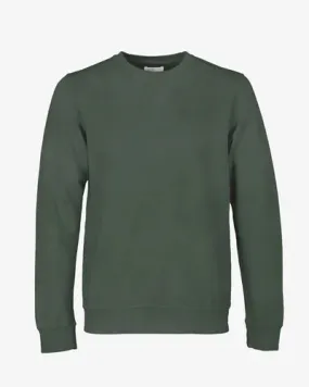 Colorful Standard Classic Organic Crew Neck Midnight Forest