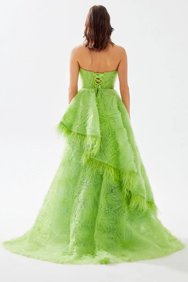 Henri Strapless Feather Trimmed Gown