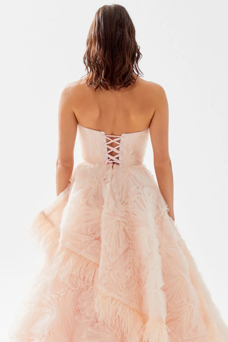 Henri Strapless Feather Trimmed Gown